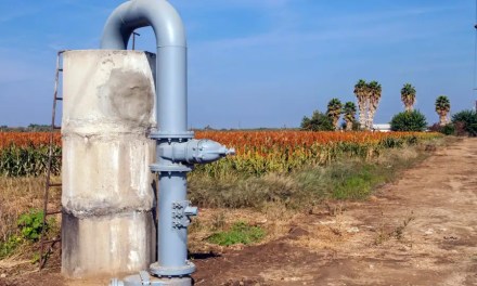 Around half the world could lose easily accessible groundwater by 2050