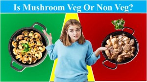Mushroom Veg or Non Veg? – Let’s Know the Amazing Fact 1