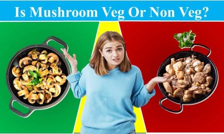 Mushroom Veg or Non Veg? – Let’s Know the Amazing Fact