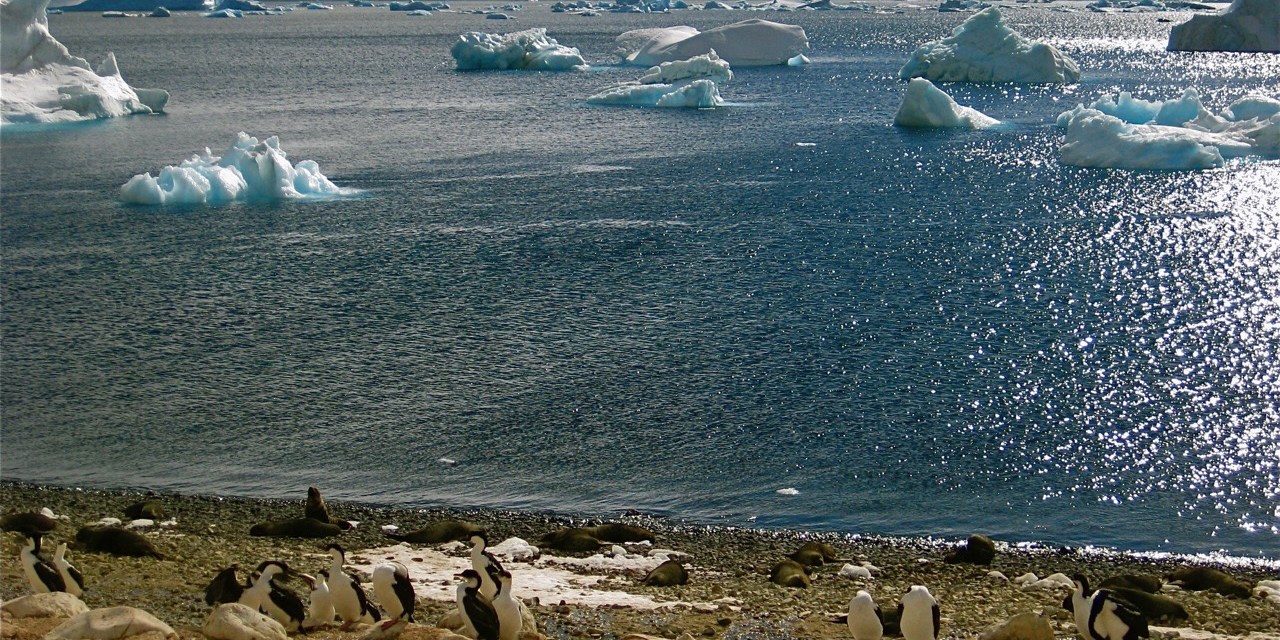 In Two New Studies, Scientists See Signs of Fundamental Climate Shifts in Antarctica