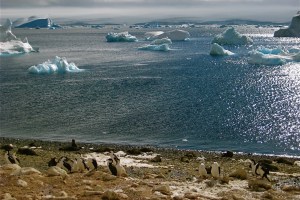 In Two New Studies, Scientists See Signs of Fundamental Climate Shifts in Antarctica 1