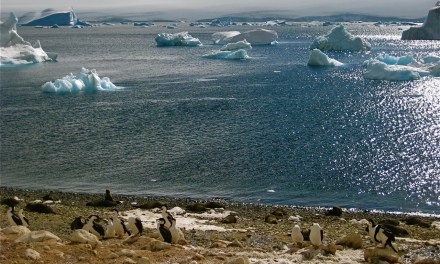 In Two New Studies, Scientists See Signs of Fundamental Climate Shifts in Antarctica