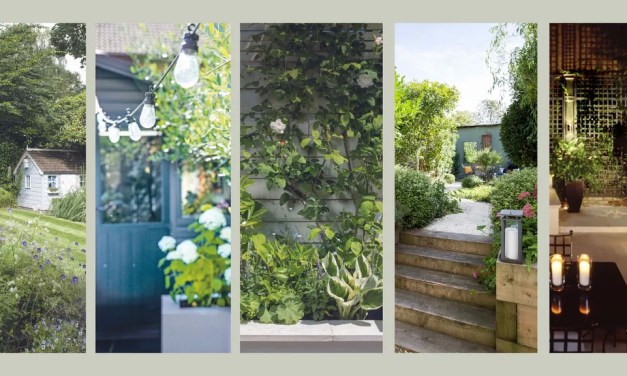 How to make a garden look expensive on a budget: 9 easy ideas to try