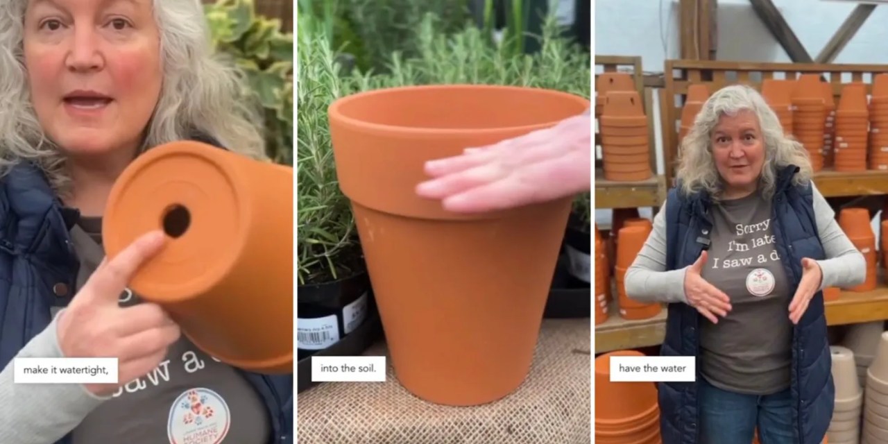 Plant expert demonstrates ancient gardening method to keep plants hydrated: ‘A time-tested watering solution’