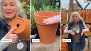 Plant expert demonstrates ancient gardening method to keep plants hydrated: 'A time-tested watering solution' 1