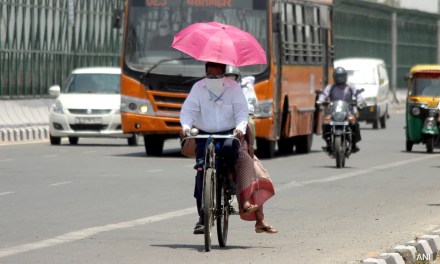 Delhi At 52.9, Iran Airport Heat Index At 66 Degrees Celsius: How Earth Is Becoming “Inferno”