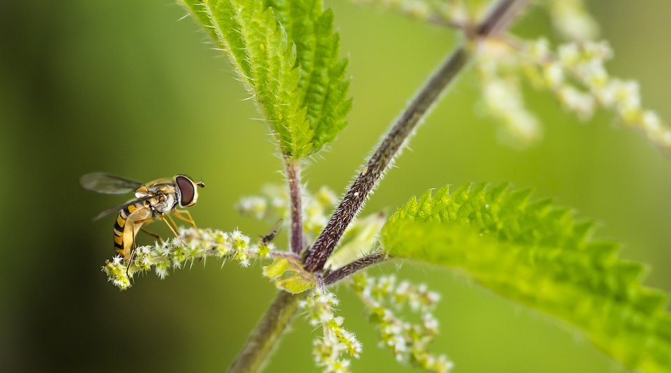 30 Breathtaking Nature Photos To Spark Your Wanderlust