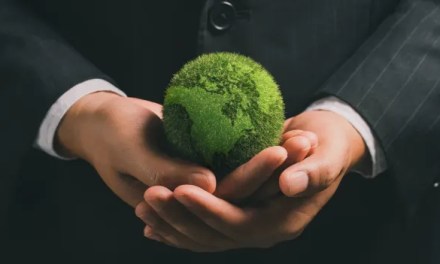 Navigating the Green Shift: The role of sustainable leadership
