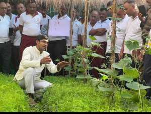 किसान बने आत्मनिर्भर इसलिए विकसित की मल्टीलेयर कृषि तकनीक: आकाश चौरसिया 3