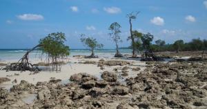 How climate change is worsening water scarcity in the Andaman Islands 1