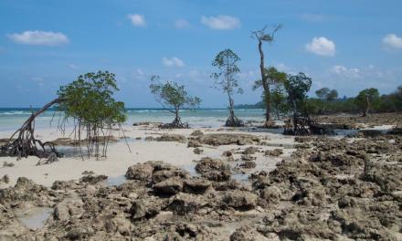 How climate change is worsening water scarcity in the Andaman Islands