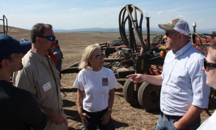 ‘We are creating new crops five-times faster’