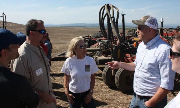 ‘We are creating new crops five-times faster’