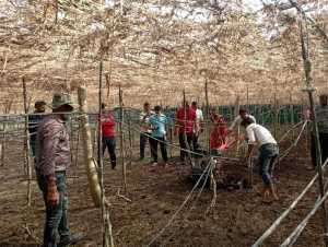 किसान बने आत्मनिर्भर इसलिए विकसित की मल्टीलेयर कृषि तकनीक: आकाश चौरसिया 4
