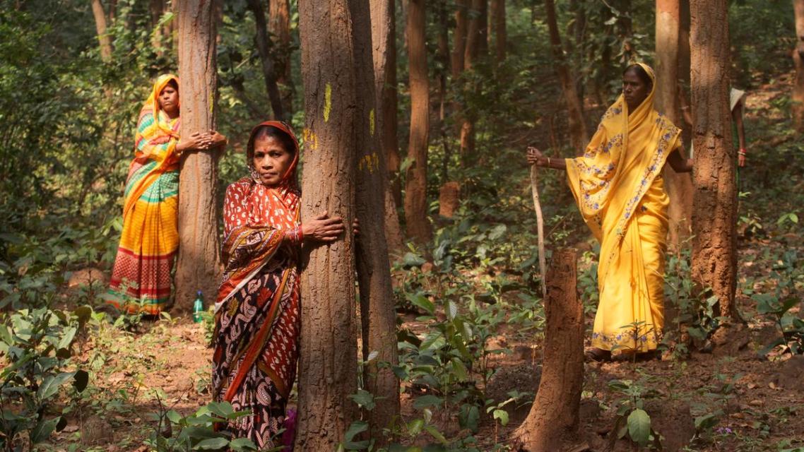 Improving the language of biodiversity conservation