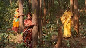 Improving the language of biodiversity conservation 1