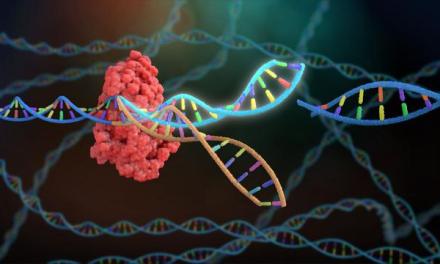 99% gene transmission possible, China’s CRISPR tool boosts food security