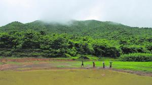 Most Indians want stronger climate action, survey says 1