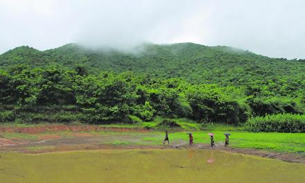 Most Indians want stronger climate action, survey says