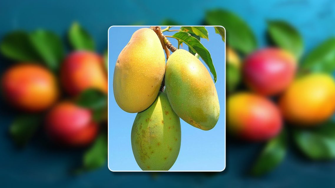 How To Grow Mango Tree In A Pot: A Step-By-Step Guide