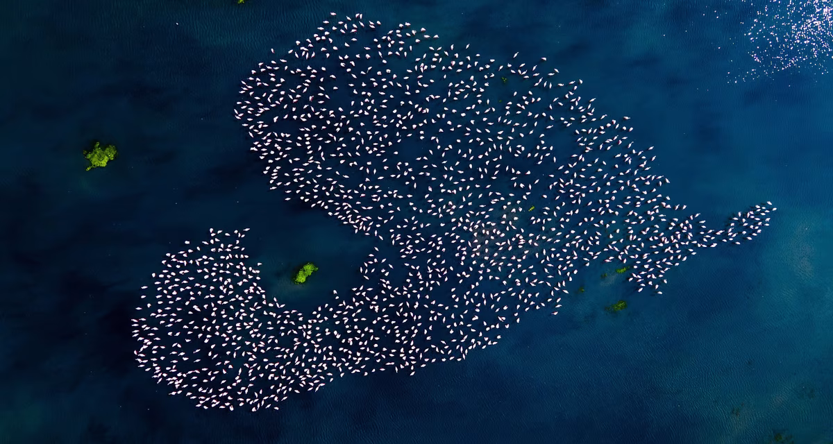 Earth’s Little Eyes: The Lakes Of Tamil Nadu