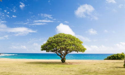 World Environment Day: 20 quotes and wishes to share