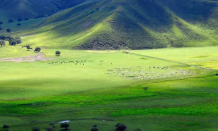 Landlocked country of Mongolia was an ocean for 115 million years after tearing off Earth’s mantle