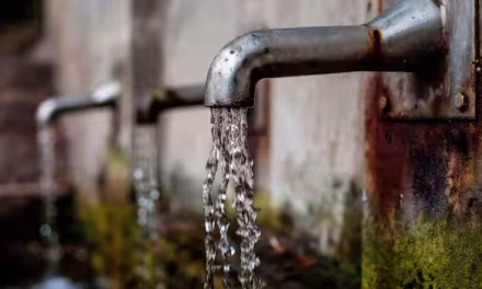 Earth’s groundwater to turn ‘undrinkable’ for half a billion people by 2100: Study