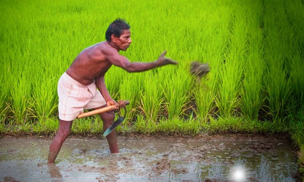What Does ‘Carbon Farming’ Mean for Indian Agriculture?