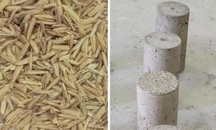 Husk power: Researchers turn rice trash into green concrete treasure with AI