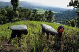 Heat stress is more than a degree of concern