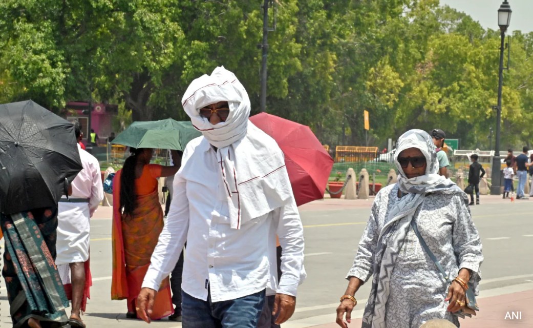 India Saw 536 Heatwave Days This Summer, Highest Since 2010: Weather Office