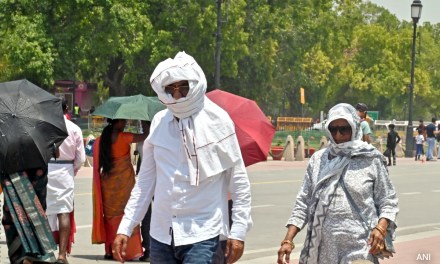 India Saw 536 Heatwave Days This Summer, Highest Since 2010: Weather Office