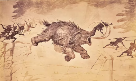 Humans behind extinction of large mammals in last 50,000 years