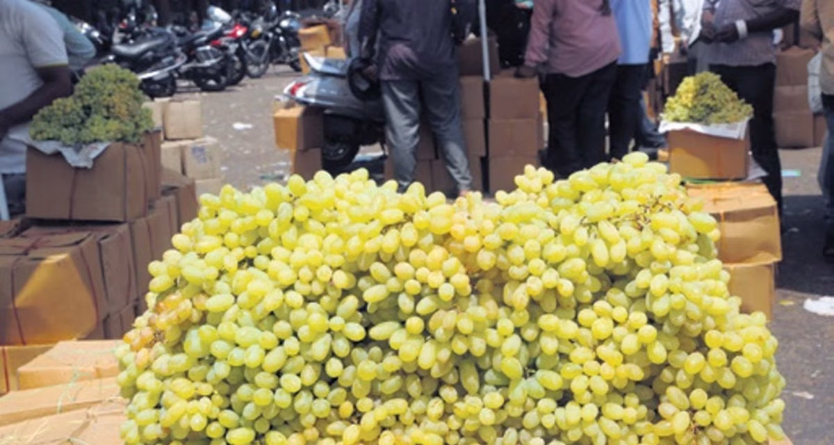 Pesticides, preservatives present highly in seasonal fruits: Horticulture expert