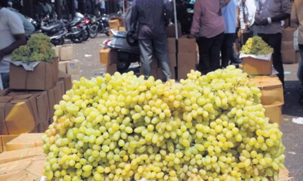 Pesticides, preservatives present highly in seasonal fruits: Horticulture expert