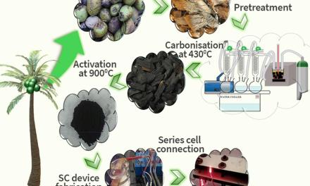 Researchers devise method to develop eco-friendly supercapacitors using activated carbon produced from coconut husks
