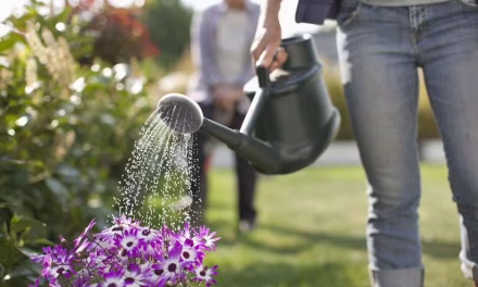 ‘Best time’ of day to water your garden to avoid ‘killing’ plants – it’s not the morning