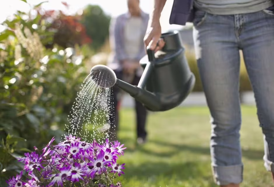 ‘Best time’ of day to water your garden to avoid ‘killing’ plants – it’s not the morning