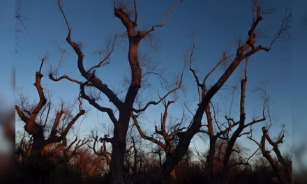 84% of Indian districts at risk of heatwaves, 70% prone to extreme rainfall