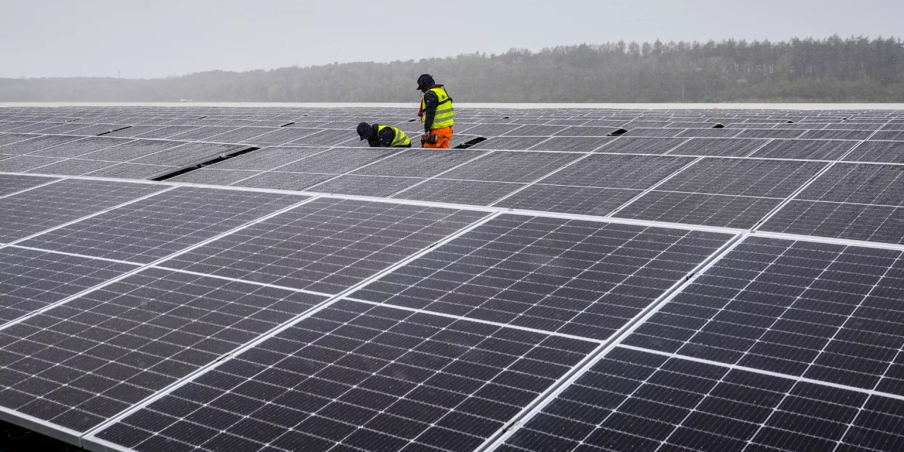 ‘Freedom from fossil power’: Wind and solar electricity grew to all-time high in first half of 2024