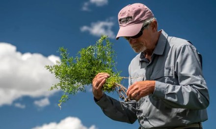 A New Model For Expanding Regenerative Organic Agriculture In America