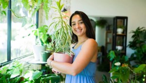 Feng shui for mental health: 12 tips to bring happiness to your home 1