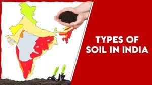 Types of Soil in India: The Fabulous 8 Basic Types 1