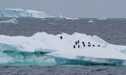 Has climate change driven Antarctica to the point of no return?