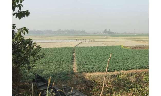 Global climate change could create more opportunities for rise and spread of new cholera strains, analysis suggests