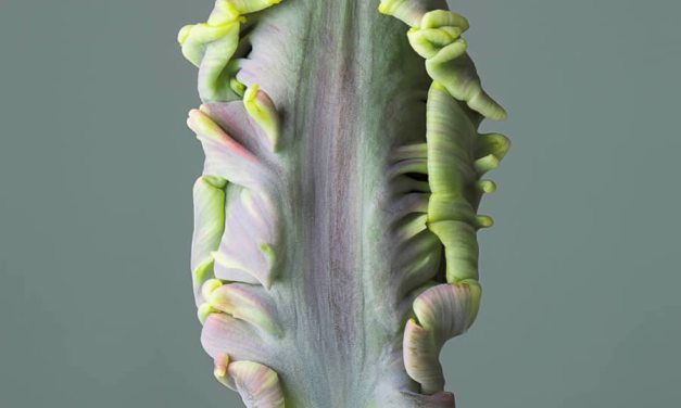 20 Amazing Nature-Winning Photos From The Fine Art Photography Awards 2024