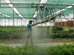 Good News for Farmers With Less Than 5 Acres of Land 1