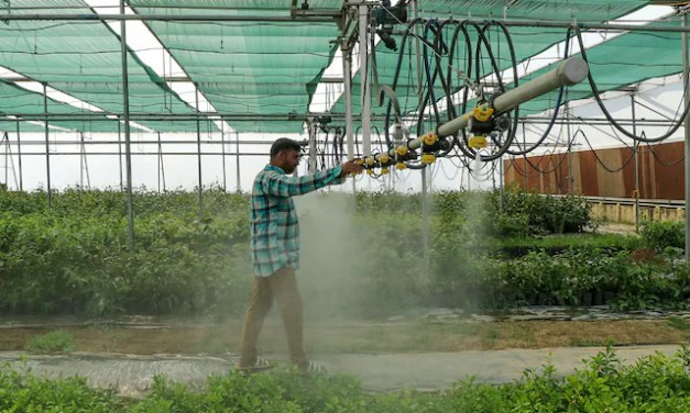 Good News for Farmers With Less Than 5 Acres of Land