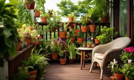 Want A Vibrant Balcony Or Terrace Garden? Try These Tips For A Lush Green Space